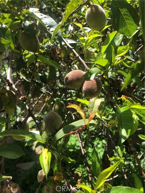 Building Photo - 18 Paseo Canos