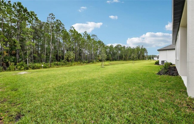 Building Photo - 1205 Pampus Dr