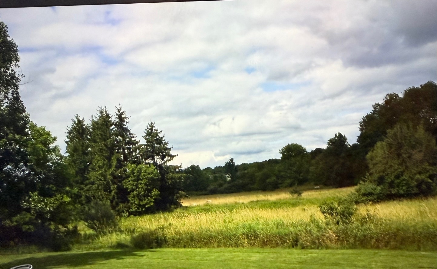 Building Photo - 1049 Danby Rd