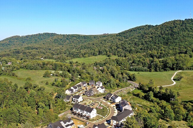 Building Photo - Dog-Friendly S. Albemarle Townhome
