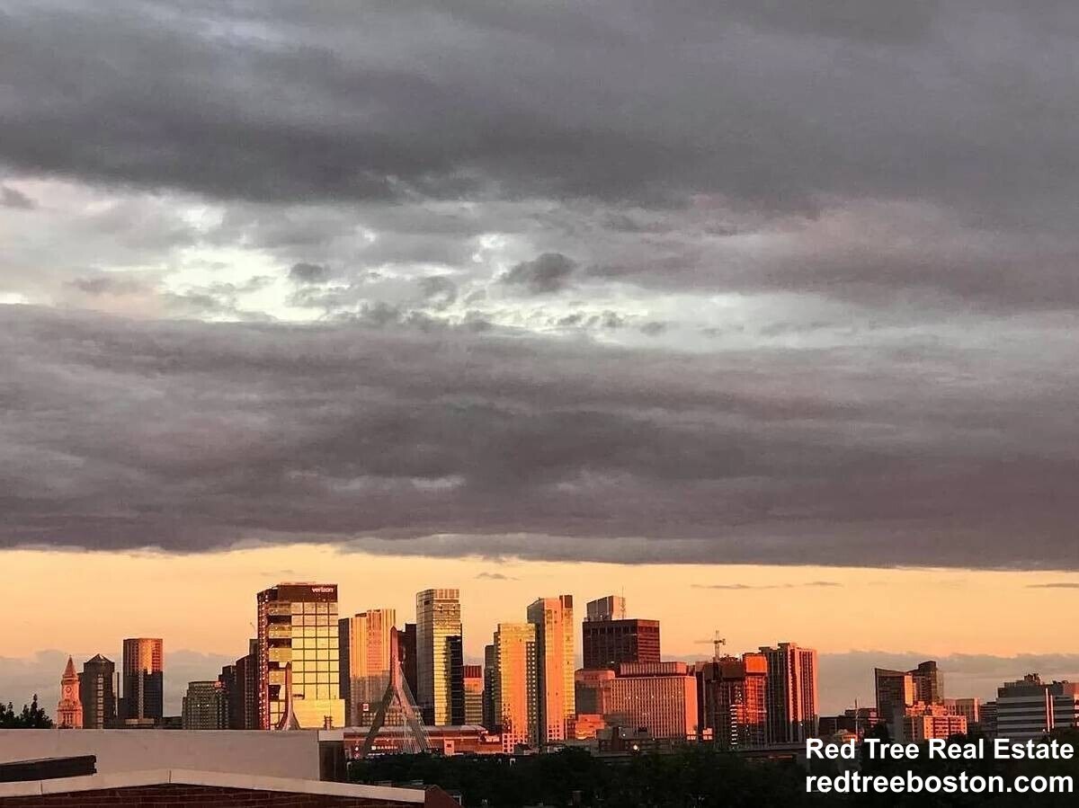 Building Photo - 445 Main St