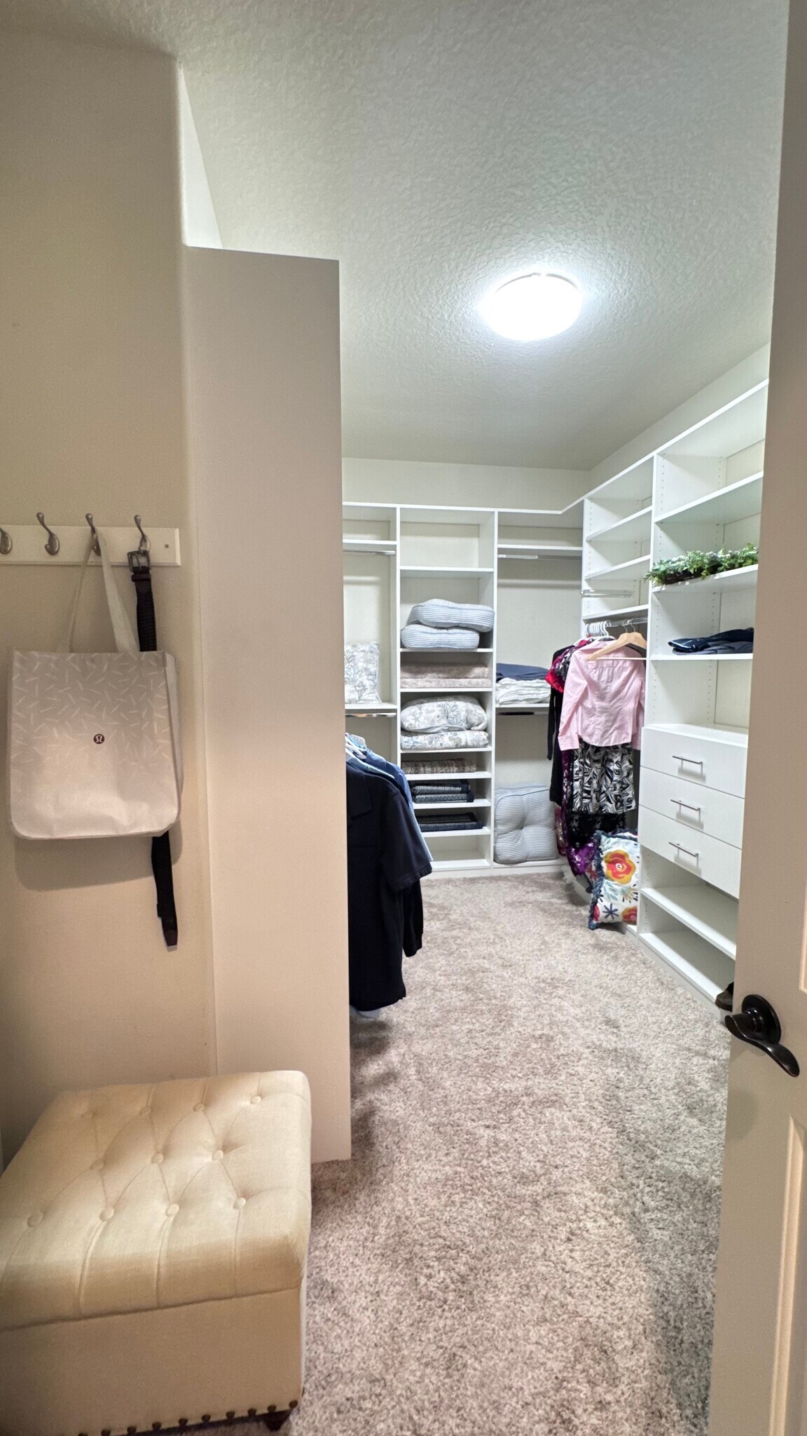 Building Photo - 12251 Regal Lily Ln