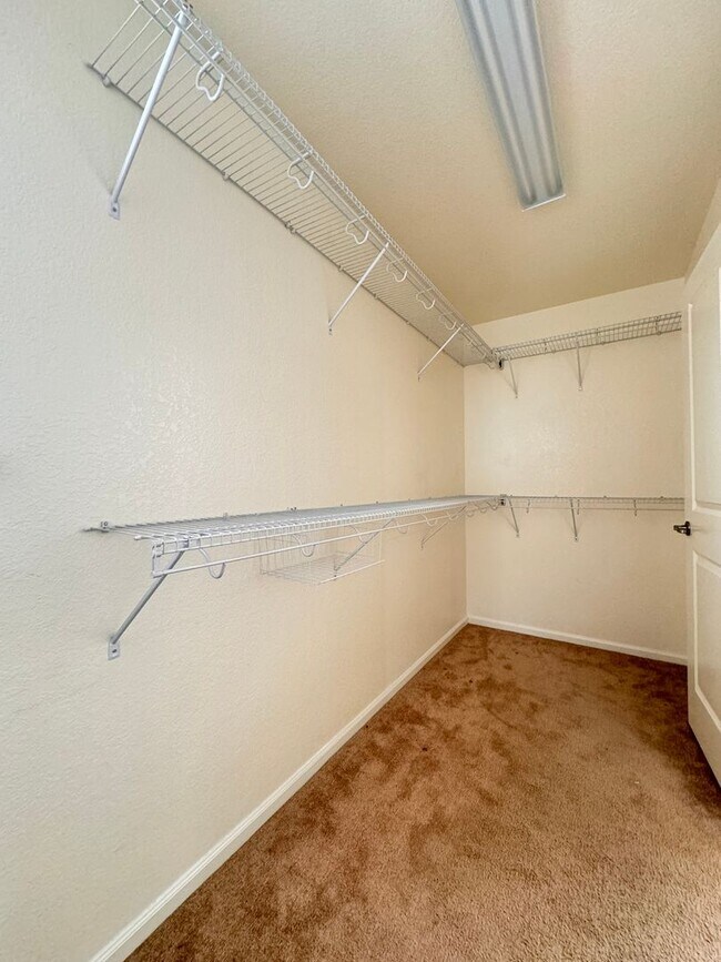 Building Photo - Beautiful Home Southeast Ft. Collilns