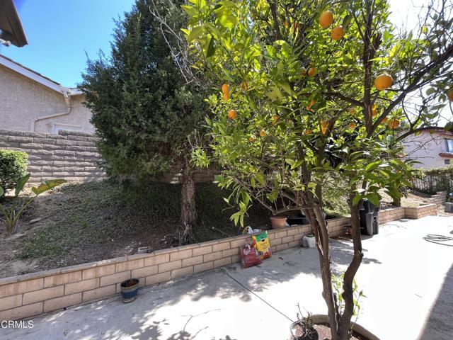 Building Photo - 3216 Bent Twig Ln