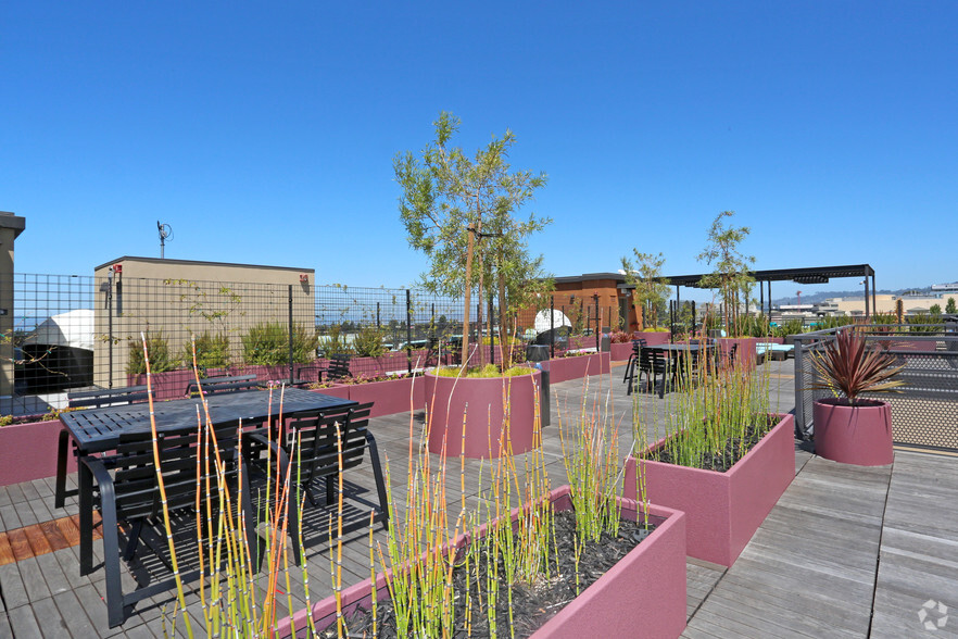 Rooftop Terrace with Sun Deck - FOUND Study Downtown Berkeley