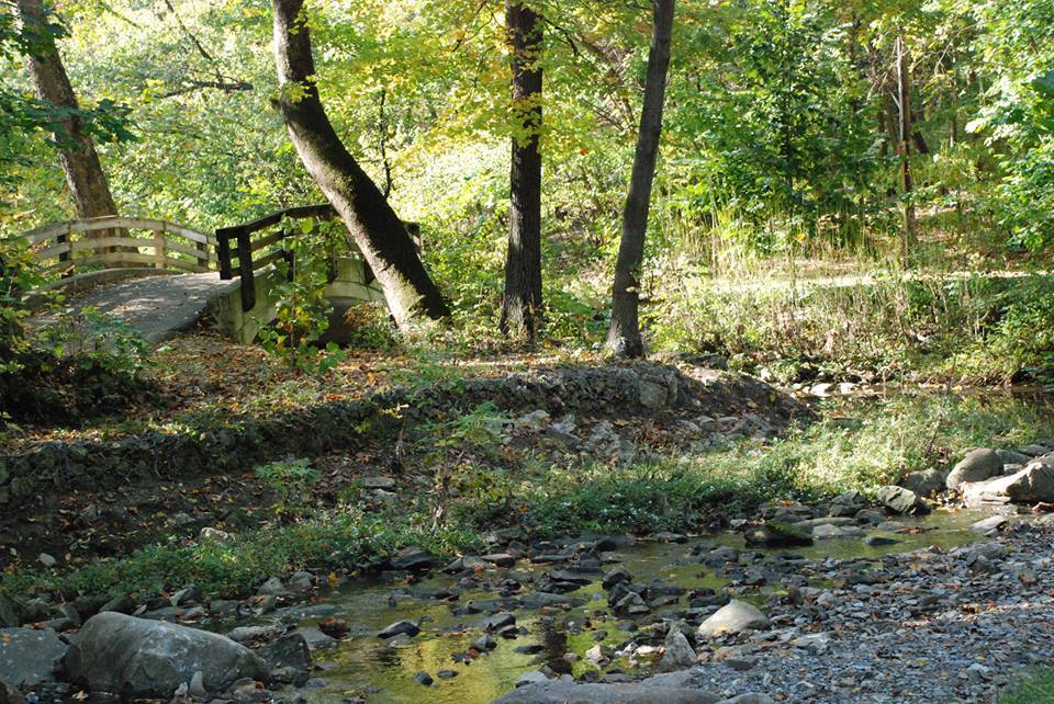 Glen Echo Ravine at end of street - 2569 Summit St
