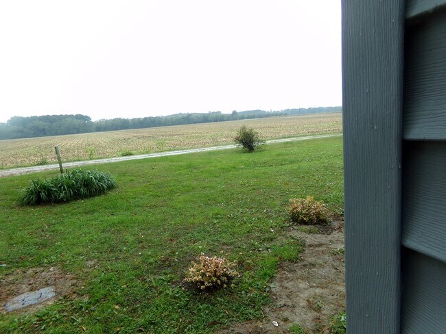 Building Photo - 35561 Belle Haven Rd