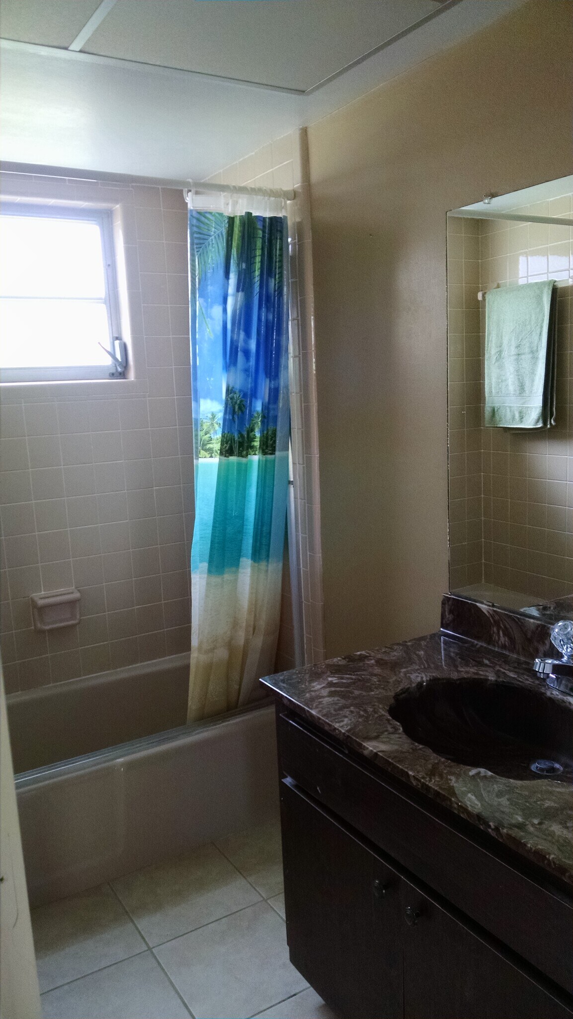 guest bath - 3 E Greens Cir