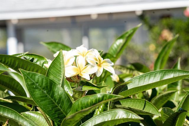 Building Photo - 535 Minnesota