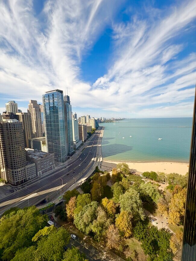 Building Photo - 505 N Lake Shore Dr