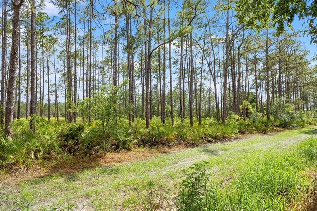 Building Photo - 9307 Poplar Creek Ct