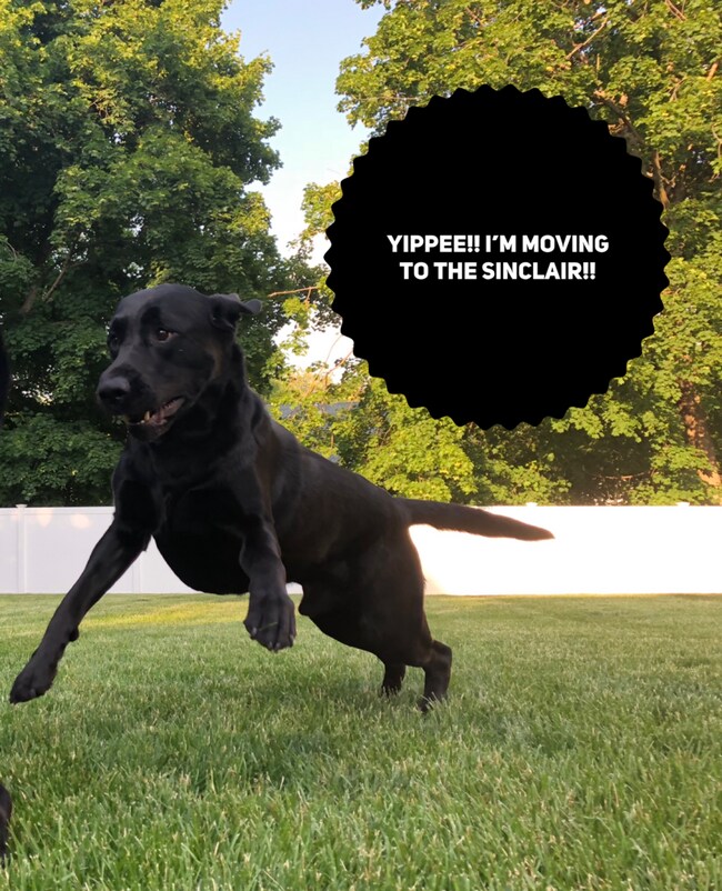 Building Photo - We treat you like royalty! Rents always include high speed internet, cable, water, sewer, trash &...