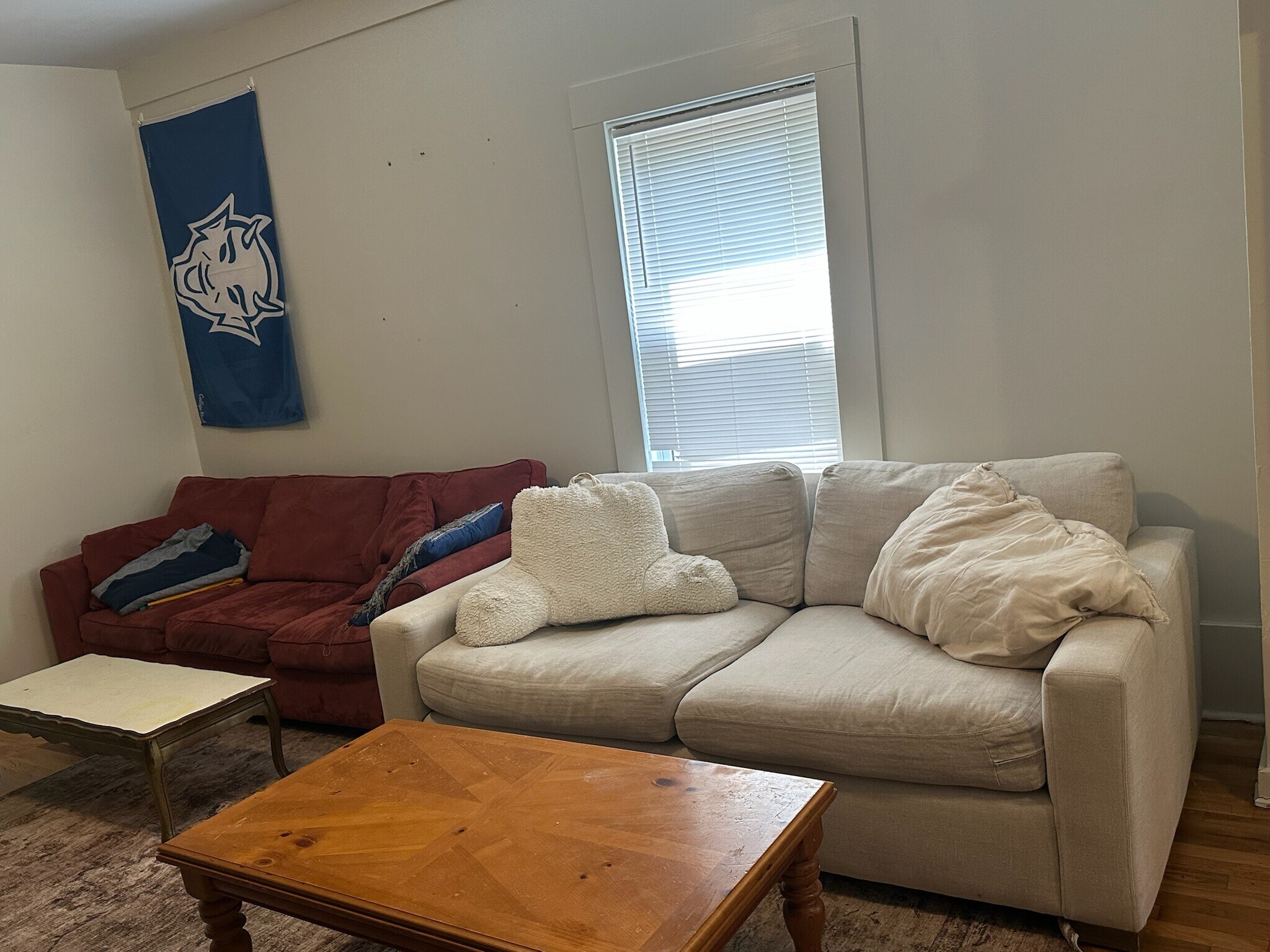Included couches - 805 Onslow St