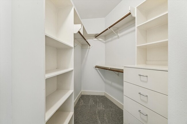 Building Photo - 9710 Riddlewood Ln