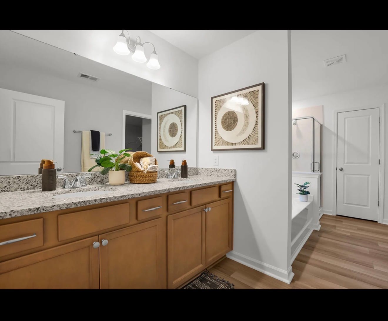 Master bathroom - 258 Ridley Hill Ln