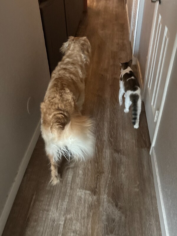 Building Photo - 4828 W Orangewood Ave