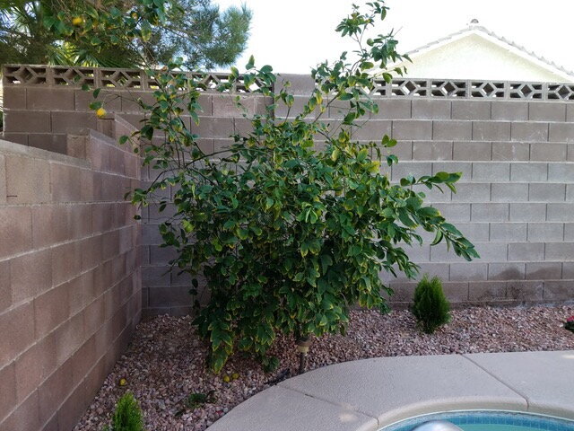 Building Photo - Elegant Single-Story Pool Home in Gated Community with Upgraded Kitchen & Easy-Care Backyard Pool...