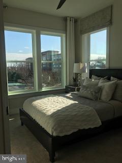 Building Photo - 591 Shorthorn Way