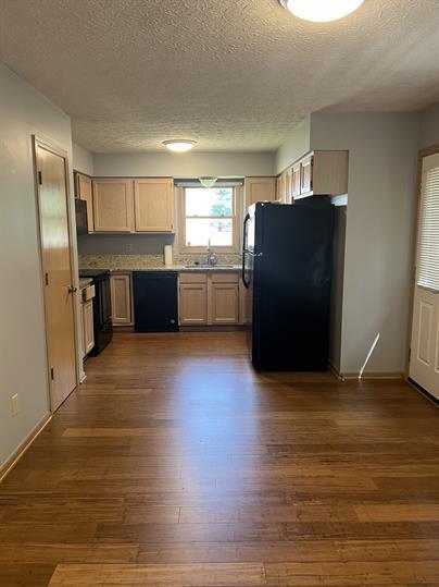 Building Photo - 8310 Talia Ct