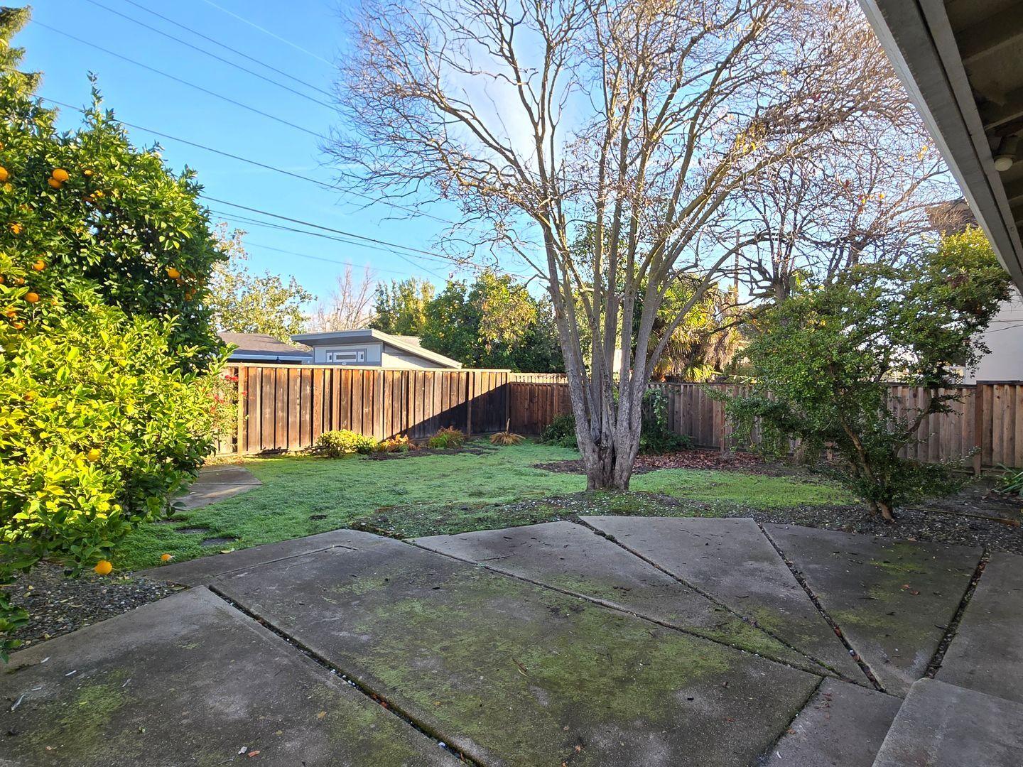 Building Photo - 1235 Heatherstone Way