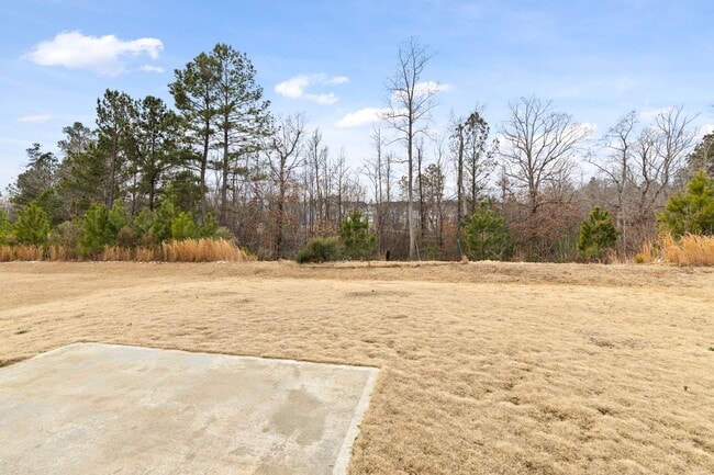 Building Photo - 4 Bed, 2.5 Bath, 2 Car Garage Near Everything in Durham!