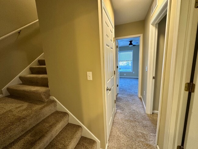 Building Photo - Updated 5-BR, 2-BA Apartment by the U of M Available!