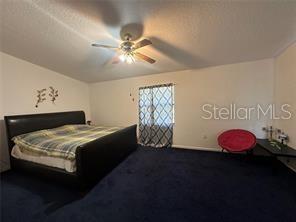 Building Photo - 746 Maderia Ct