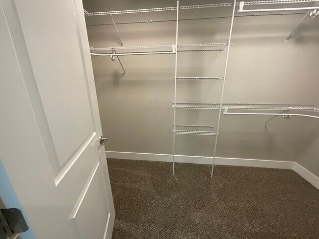 Building Photo - Brand New Beautiful Home