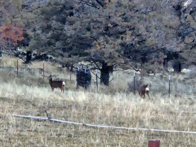 Building Photo - 23131 N Poe Valley Rd