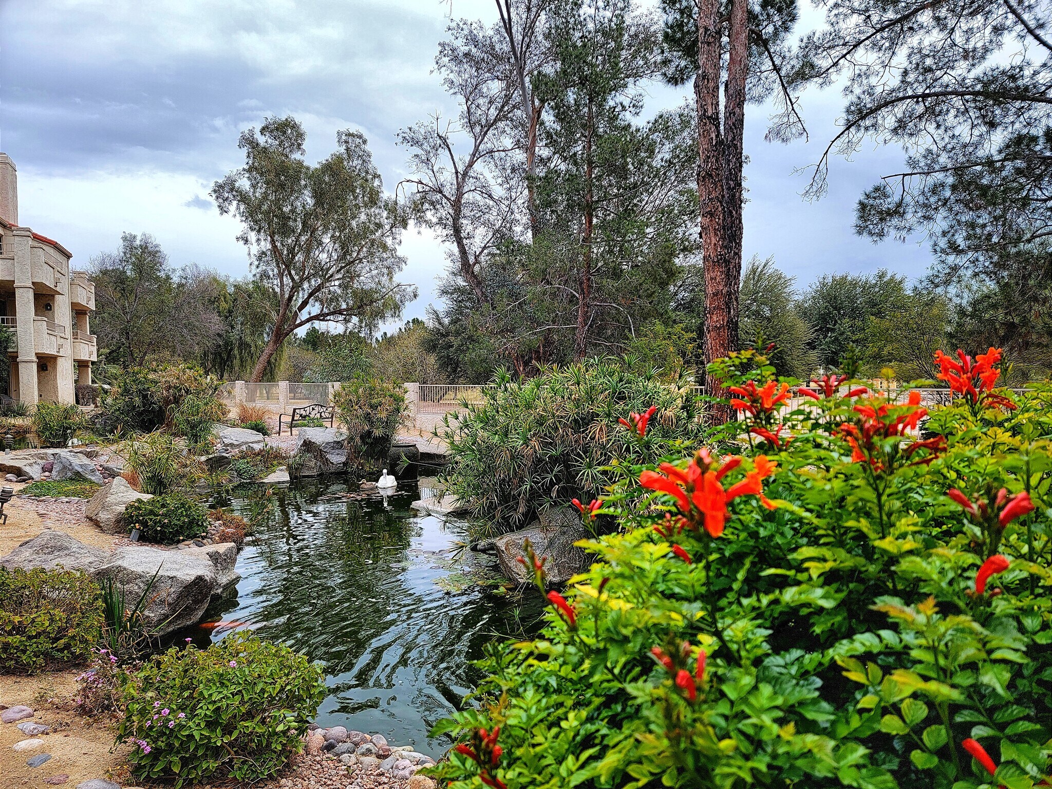 Building Photo - 10080 E Mountainview Lake Dr