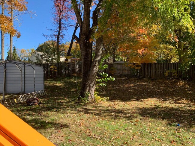 Backyard - 5625 Saint Charles Dr