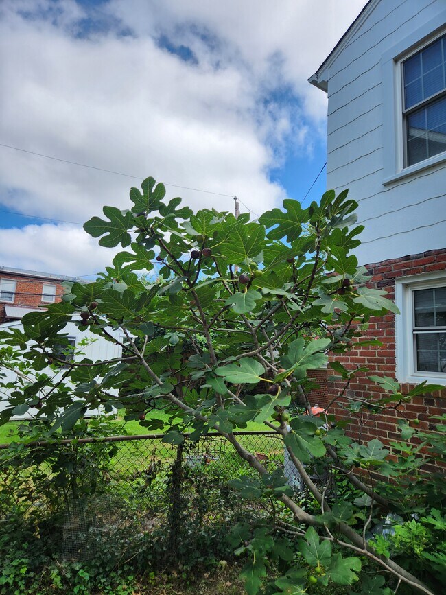 Building Photo - 3609 2nd St S