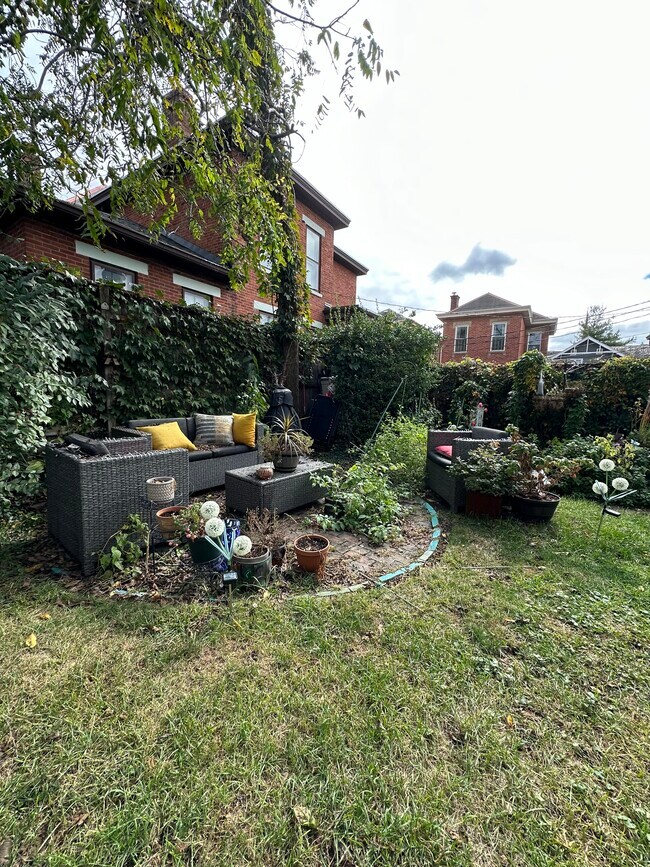 backyard - 560 S 3rd St