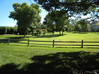 Backyard - 181 Inverness Ct
