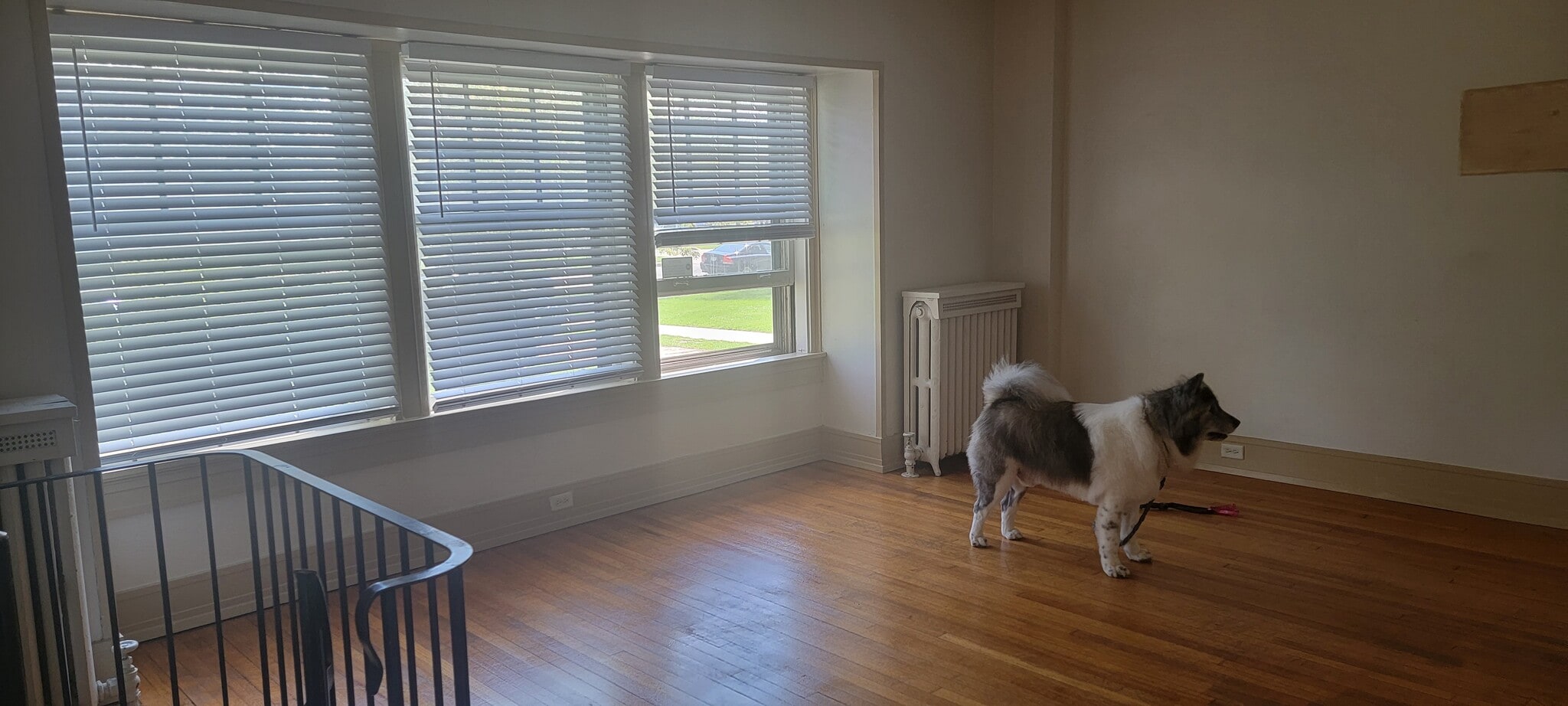 Living room - 6008 8th Ave