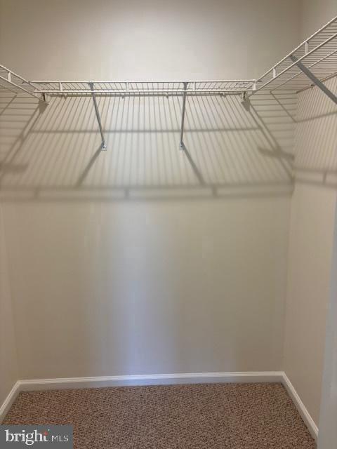 Building Photo - 2403 Beacon Hill Dr