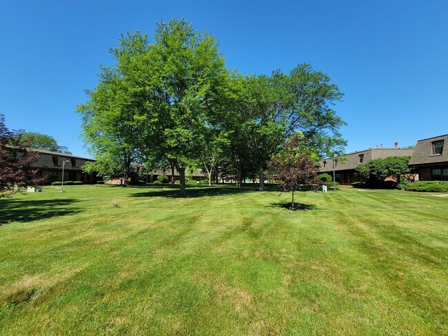 Building Photo - 1605 Lyndhurst Dr
