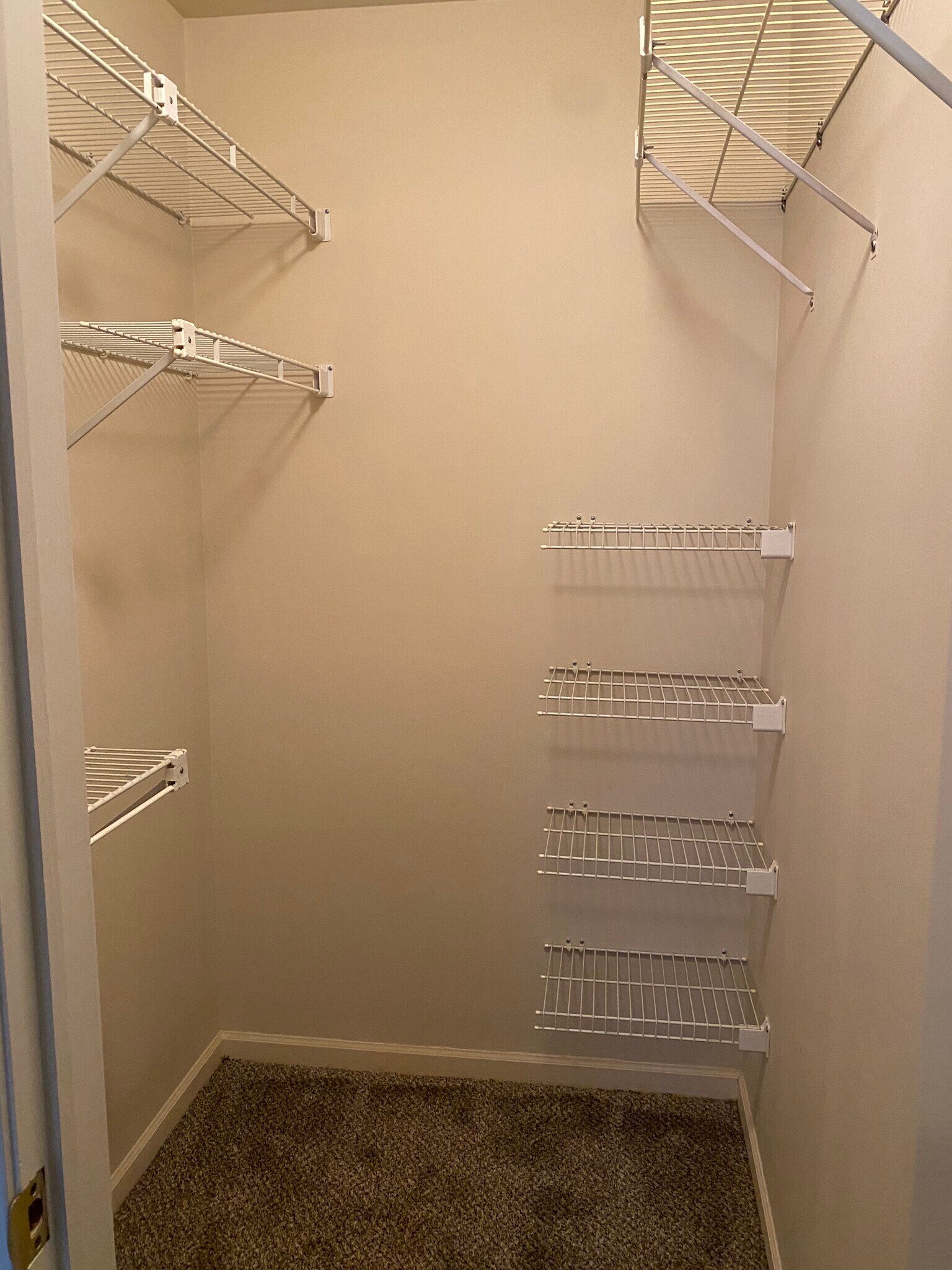 Secondary Bedroom Closet - 27729 Harrison Woods Ln