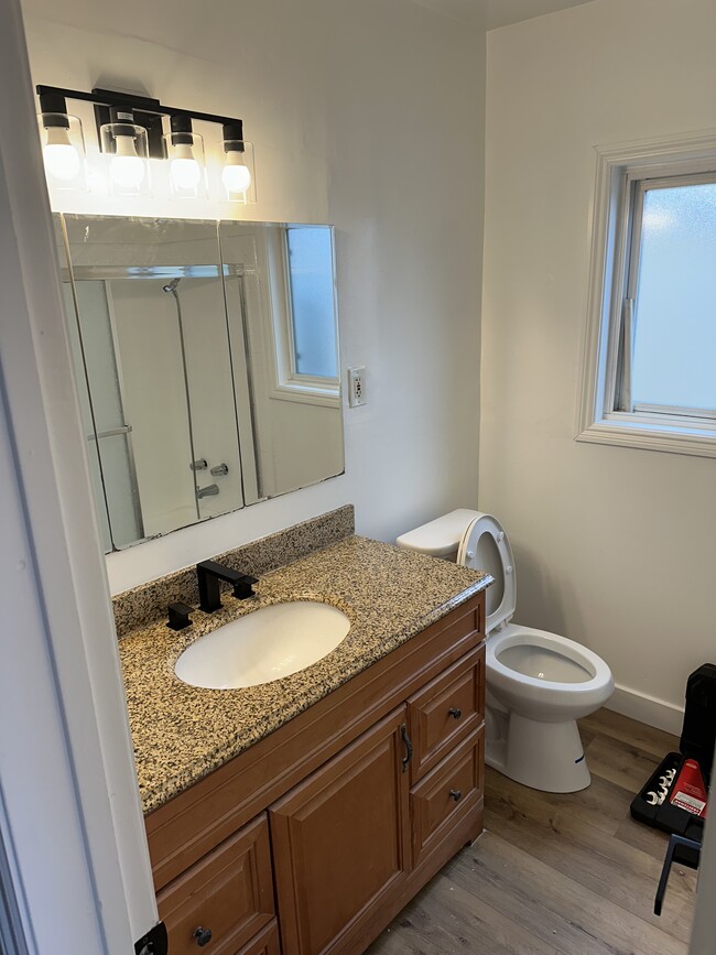 Bathroom #2 with new faucet, toilet, towel bars and lighting with heater - 4230 W 169th St