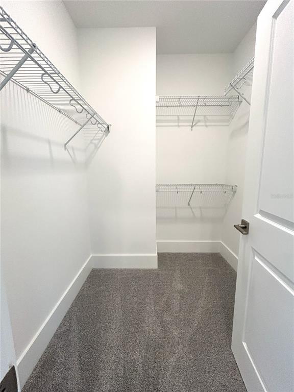 Building Photo - 12639 Clear Sapphire Dr