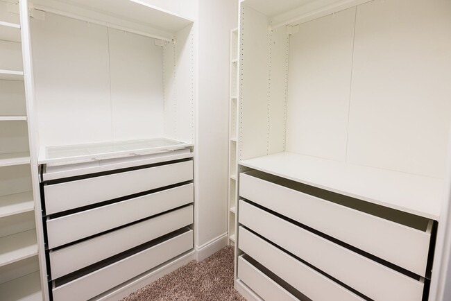 Building Photo - Stunning 5 Bedrooms, 4 Baths home in Summerfield with 2 car garage.