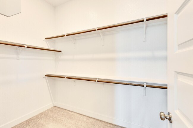 Building Photo - 4702 Sea Salt Dr