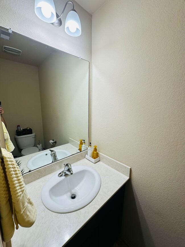 1/2 Bathroom -First Floor - 2603 Gold Flake Terrace Rd