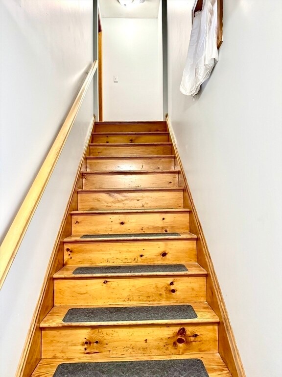 Building Photo - 61 Tracey St