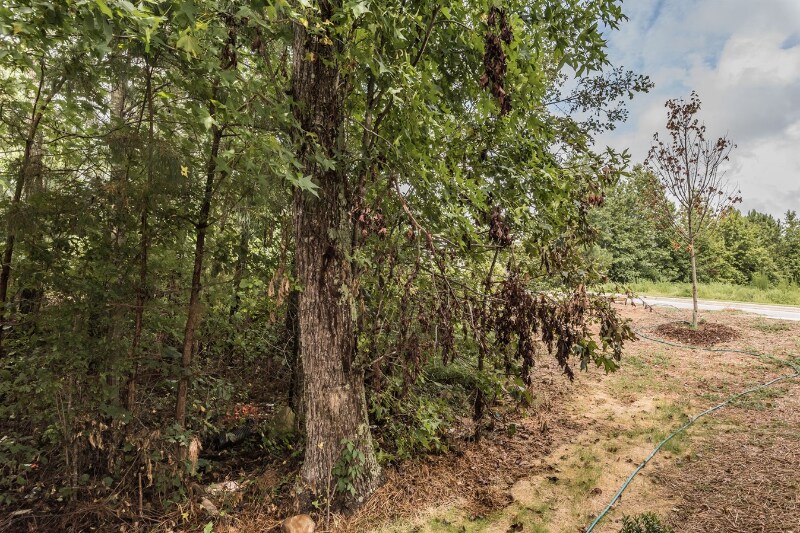 Building Photo - 3564 Aldie Ct