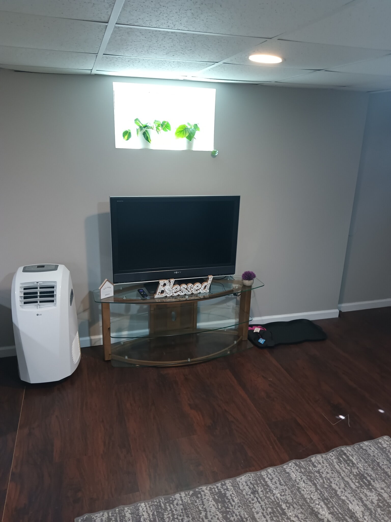 Roku TV in Living Room - 13 Loughlin Dr