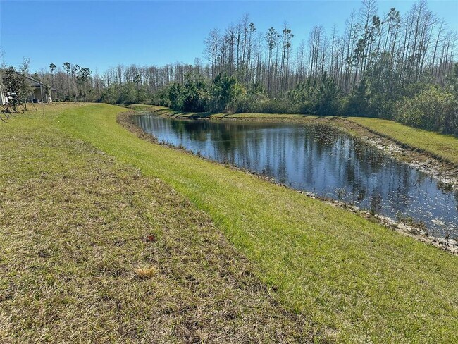 Building Photo - 17216 Mango Shay Ct