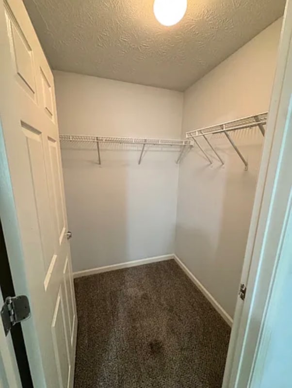 Building Photo - 4204 Fairington Ridge Cir