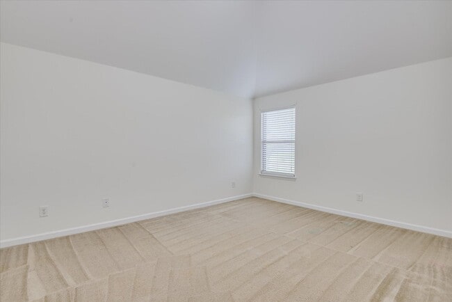 Building Photo - 873 Rollo Domino Cir