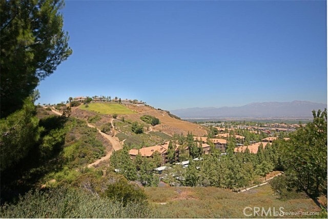Building Photo - 2985 Amber Dr